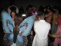 Picture 034